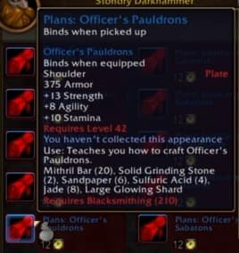 Officer's Pauldrons: Sleek plate armor pieces denoting high military rank.